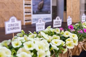 Organización y ejecución de eventos