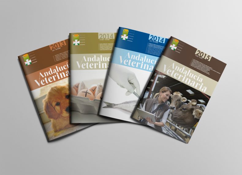 Maquetación de catálogos y folletos informativos
